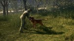 ️THEHUNTER: CALL OF THE WILD - BLOODHOUND️XBOXКЛЮЧ - изображение № 10