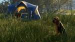 ️THEHUNTER: CALL OF THE WILD - BLOODHOUND️XBOXКЛЮЧ - изображение № 6