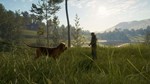 ️THEHUNTER: CALL OF THE WILD - BLOODHOUND️XBOXКЛЮЧ - изображение № 4