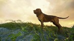 ️THEHUNTER: CALL OF THE WILD - BLOODHOUND️XBOXКЛЮЧ - изображение № 8