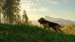 ️THEHUNTER: CALL OF THE WILD - BLOODHOUND️XBOXКЛЮЧ - изображение № 11