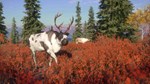 THEHUNTER: CALL OF THE WILD - YUKON VALLEY️XBOXКЛЮЧ - изображение № 4
