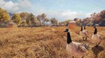 ️CALL OF THE WILD - WILD GOOSE CHASE GEARXBOX - изображение № 3