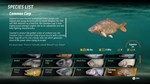 ️THE CATCH: CARP & COARSE FISHING️XBOX+PCКЛЮЧ - изображение № 8