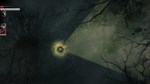 DARKWOOD DELUXE EDITIONSTEAM GIFT????АВТОДОСТАВКА???? - изображение № 5