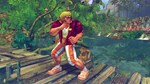 USFIV: SHORYUKEN VACATION PACKSTEAM GIFT????АВТО - изображение № 4
