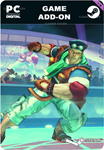 USFIV: BRAWLER VACATION PACKSTEAM GIFT????АВТО