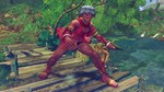 USFIV: 2014 CHALLENGERS VACATION PACKSTEAM GIFT - изображение № 6