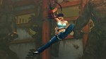 USFIV: COMPLETE CHALLENGERS 2 PACK (2011)STEAM GIF - изображение № 3
