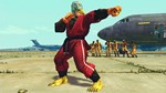 USFIV: SHORYUKEN WILD PACKSTEAM GIFT????АВТОДОСТАВКА - изображение № 3
