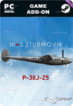 ИЛ-2 ШТУРМОВИК: P-38J-25STEAM GIFT????АВТОДОСТАВКА????