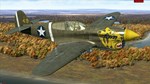 ИЛ-2 ШТУРМОВИК: P-40E-1STEAM GIFT????АВТОДОСТАВКА???? - изображение № 8