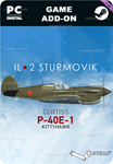 ИЛ-2 ШТУРМОВИК: P-40E-1STEAM GIFT????АВТОДОСТАВКА????