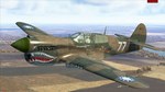 ИЛ-2 ШТУРМОВИК: P-40E-1STEAM GIFT????АВТОДОСТАВКА???? - изображение № 6