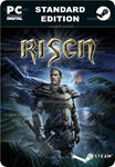 RISENSTEAM GIFT????АВТОДОСТАВКА????