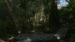 CRYSIS REMASTEREDSTEAM GIFT????АВТОДОСТАВКА???? - изображение № 4