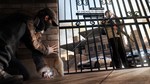 WATCH_DOGS - ACCESS GRANTED PACKSTEAM GIFT????АВТО - изображение № 4