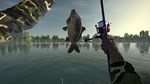 ULTIMATE FISHING SIMULATORSTEAM GIFT????АВТОДОСТАВКА - изображение № 7