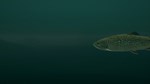 ULTIMATE FISHING SIMULATOR - TAUPO LAKE DLCSTEAM - изображение № 10