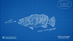 ULTIMATE FISHING SIMULATOR - THAILAND DLCSTEAM - изображение № 8