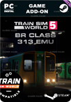 TRAIN SIM WORLD® 5: SOUTHERN BR CLASS 313 EMU ADD-ON