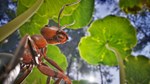 EMPIRE OF THE ANTS DELUXE EDITIONSTEAM GIFT????АВТО - изображение № 6