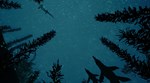 BEASTS OF BERMUDASTEAM GIFT????АВТОДОСТАВКА???? - изображение № 7