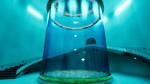 8月32日の水族館STEAM GIFT????АВТОДОСТАВКА???? - изображение № 4
