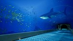 8月32日の水族館STEAM GIFT????АВТОДОСТАВКА???? - изображение № 2