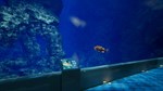 8月32日の水族館STEAM GIFT????АВТОДОСТАВКА???? - изображение № 5