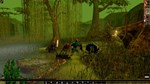 NEVERWINTER NIGHTS: DARKNESS OVER DAGGERFORDSTEAM - изображение № 3