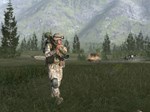 ARMA: GOLD EDITIONSTEAM GIFT????АВТОДОСТАВКА???? - изображение № 7