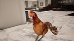 CHICKEN STRIKE®: CLUCK OPS™STEAM GIFT????АВТО - изображение № 7