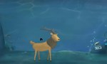 THE DEERSTEAM GIFT????АВТОДОСТАВКА???? - изображение № 6
