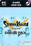 SENRAN KAGURA ESTIVAL VERSUS - SHINOBI PACKSTEAM