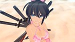SENRAN KAGURA ESTIVAL VERSUS - SURPRISE PACKSTEAM - изображение № 5