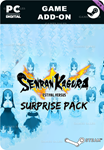 SENRAN KAGURA ESTIVAL VERSUS - SURPRISE PACKSTEAM