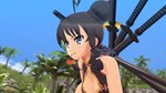 SENRAN KAGURA ESTIVAL VERSUS - SPRAY PACKSTEAM - изображение № 4