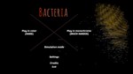 BACTERIASTEAM GIFT????АВТОДОСТАВКА???? - изображение № 2