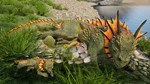 DAY OF DRAGONS COMPLETE COLLECTIONSTEAM GIFT????АВТО - изображение № 9