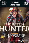 WARHAMMER: CHAOSBANE - WITCH HUNTERSTEAM GIFT????