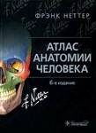 Атлас анатомии человека Фрэнк Неттер 7 изд