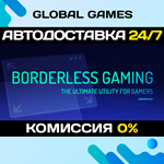 Borderless Gaming STEAM GIFT АВТОДОСТАВКА0%