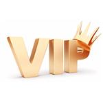 VIP (b1) Лайт на 4 месяца