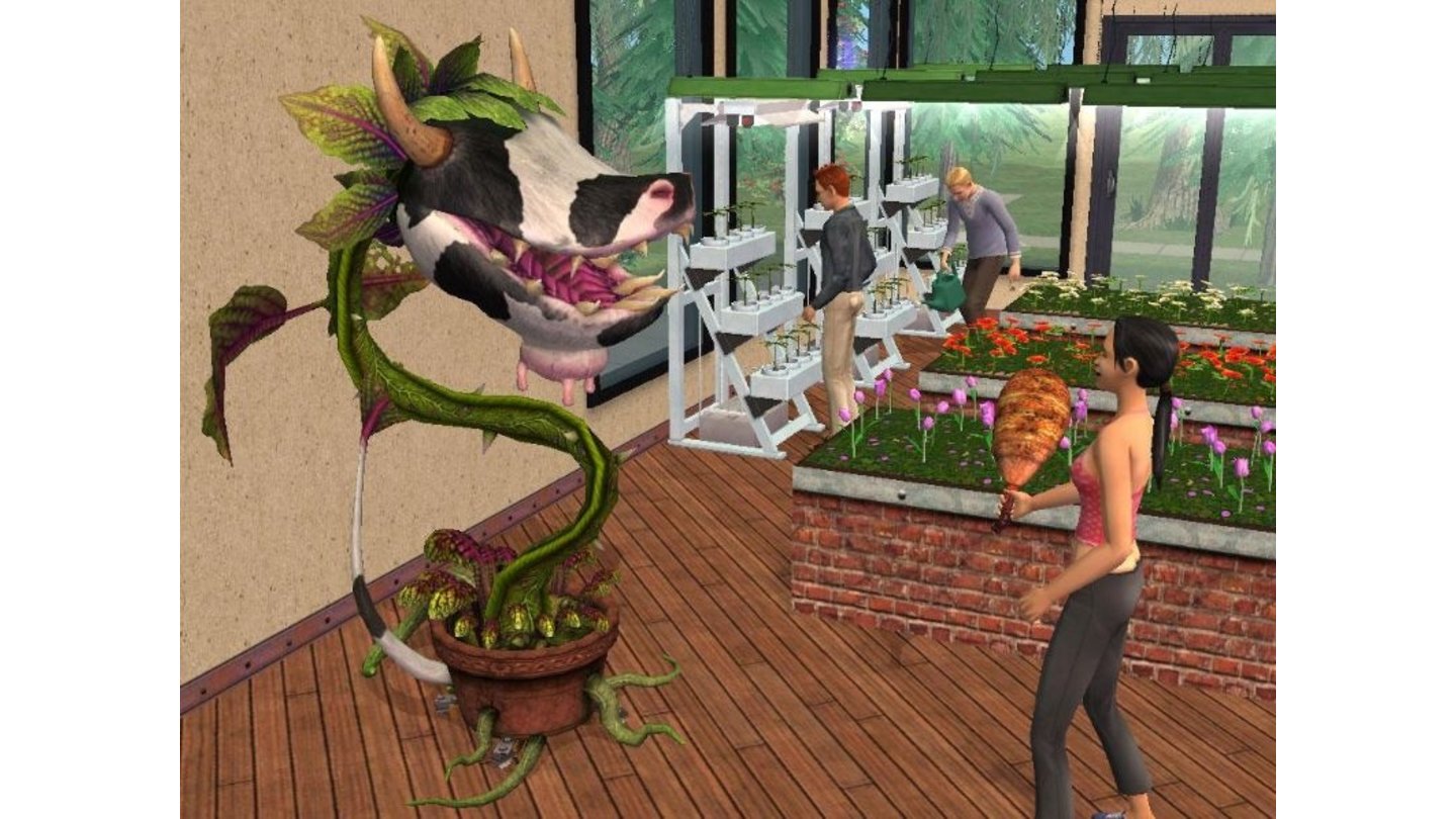 Sims 2 edition