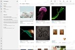 Files&Folders Pro Microsoft Store Windows ПК Активация - изображение № 7