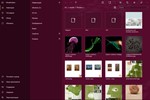 Files&Folders Pro Microsoft Store Windows ПК Активация - изображение № 5
