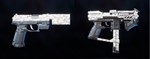 Rogue Company: Nuclear Winter Secondary Wrap Gun Skin