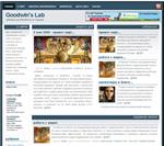 Шаблон сайта N105 для WordPress скачать + БОНУСЫ
