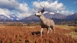  theHunter: Call of the Wild ( Region Free )  - изображение № 2